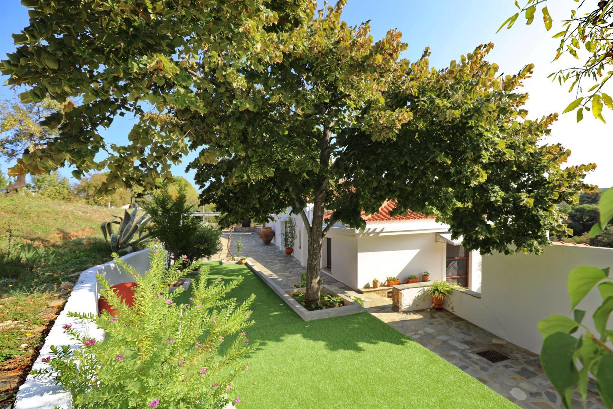Diakopi Villa Skopelos Exteriér fotografie